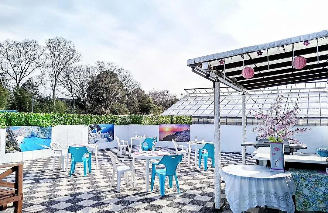 Cat Villa - Vacation Stay 12826-1